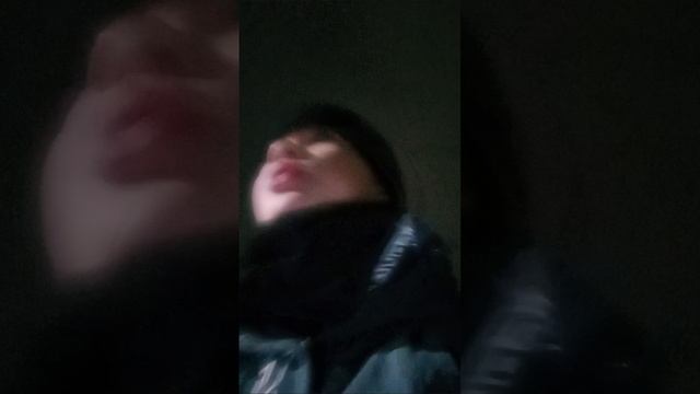 scene_output.mp4