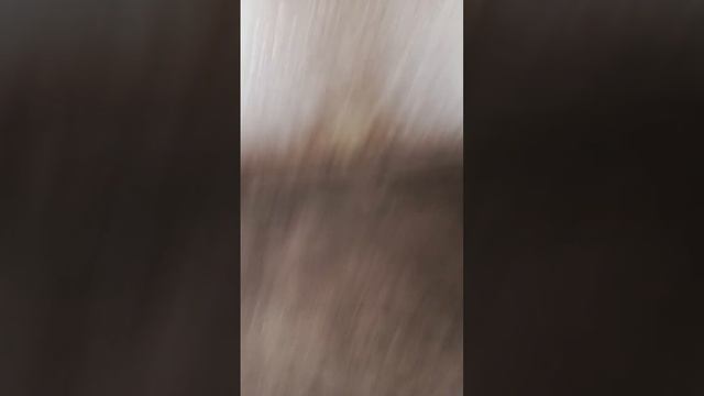 Ааааа!!!!