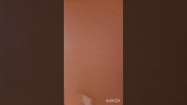 Слепнева 13
