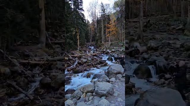 Счастье живет рядом с нами