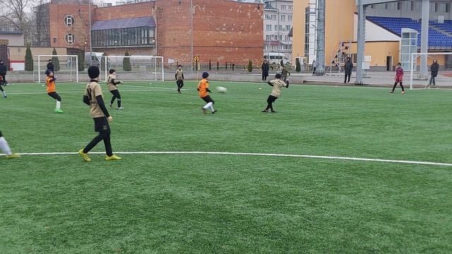 СтрелаЛьвы-Барс
