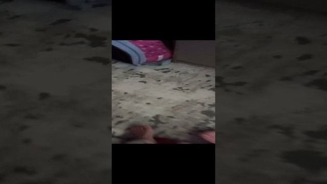 нашу с мелкай утро 3