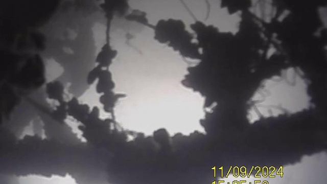 1000031740.mp4Волга гл4м.09.11.2024г.