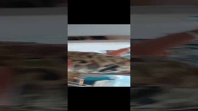 готовка