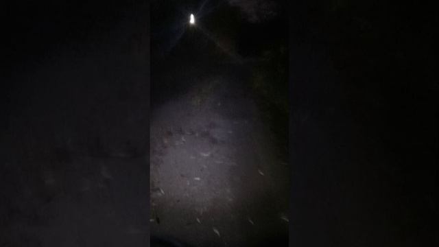 те кто живут молодцы