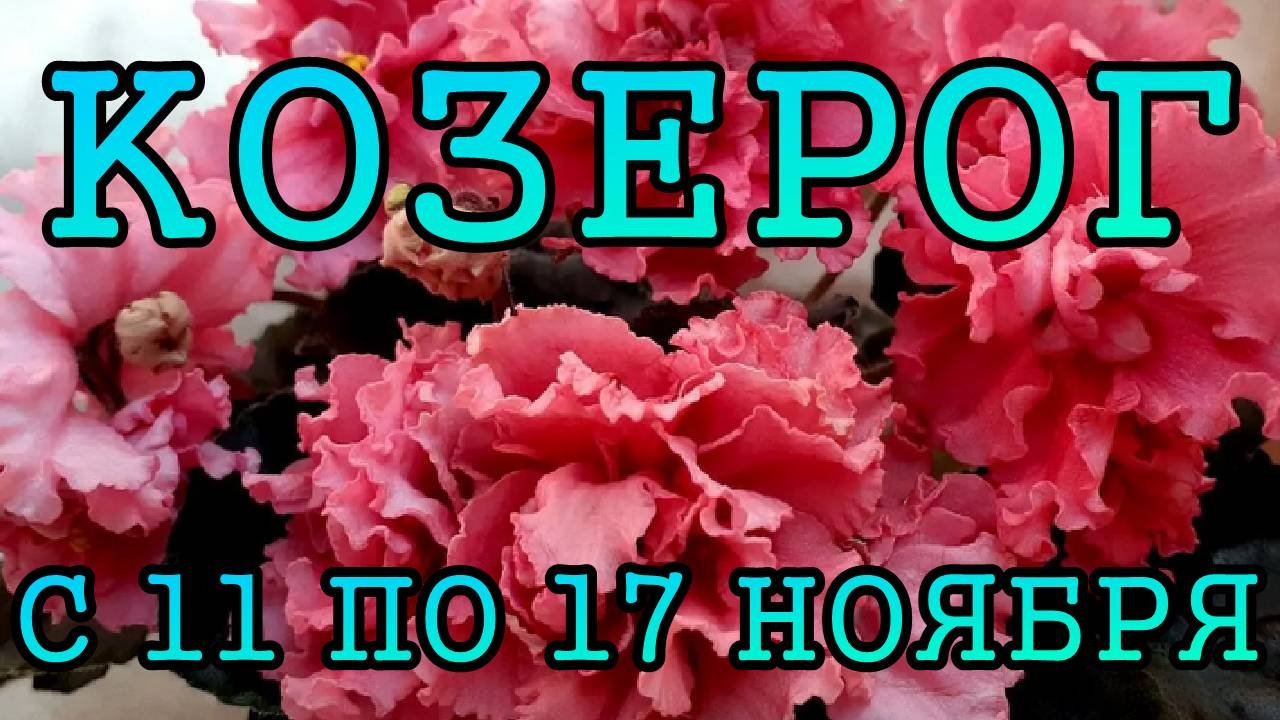 КОЗЕРОГ таро прогноз на неделю с 11 по 17 НОЯБРЯ 2024 года.