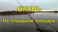 Ловля окуня на отводной поводок