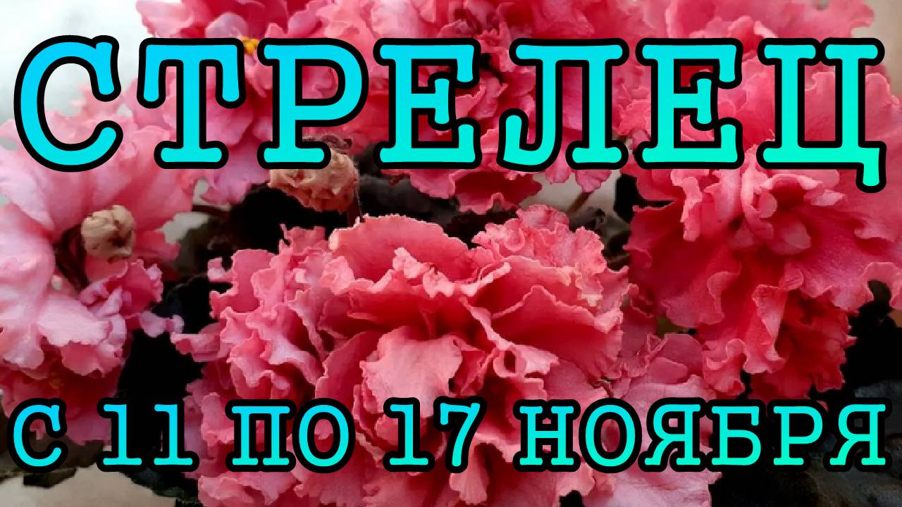 СТРЕЛЕЦ таро прогноз на неделю с 11 по 17 НОЯБРЯ 2024 года.