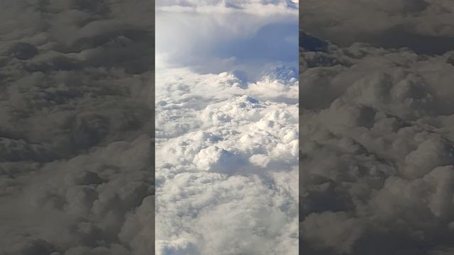 Мысли в полёте ✈️ #мудрость