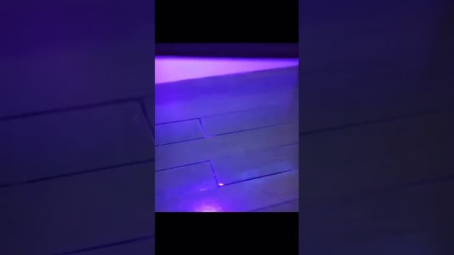 привет из прошлого