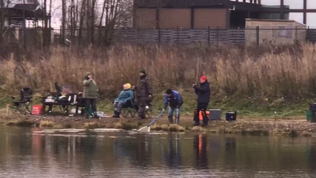 Поимка форели на малом водоёме