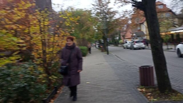 VID20241108155026.mp4