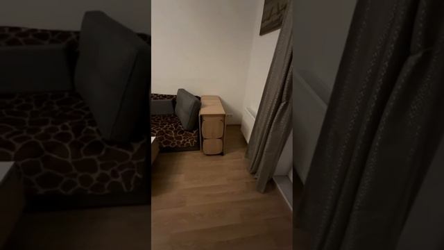Петровский 11 Студия 1