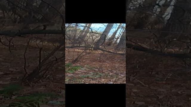 1000013365.mp4