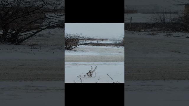 А снег идёт...