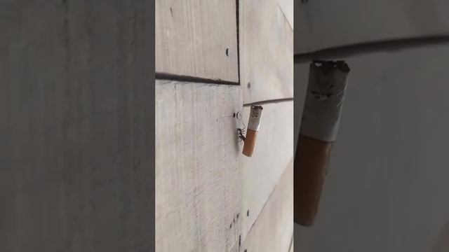 1000011617.mp4