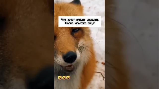 Что хочет слышать клиент после массажа лица? 🦊
