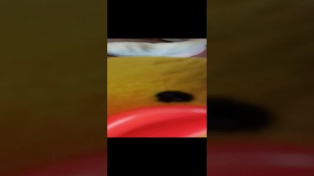 мы с милкой убираемся в её гардеробе 4