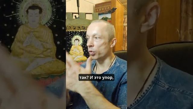 К чему ведет гордость