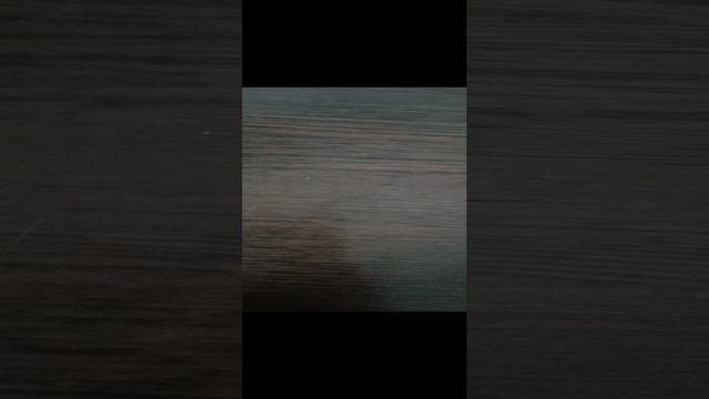 регреватор 3 часть