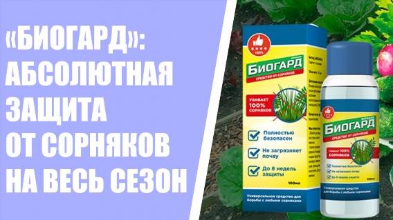 👌 Средство от сорняков на картошке ⚠ Чем протравить сорняки
