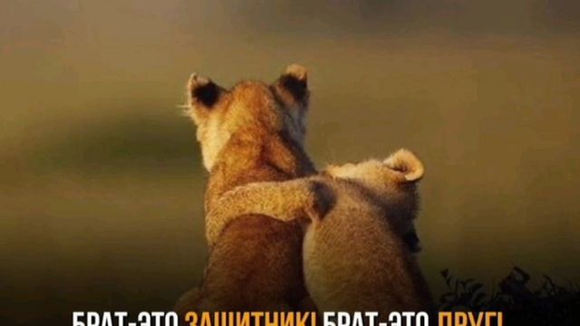 1000189065.mp4