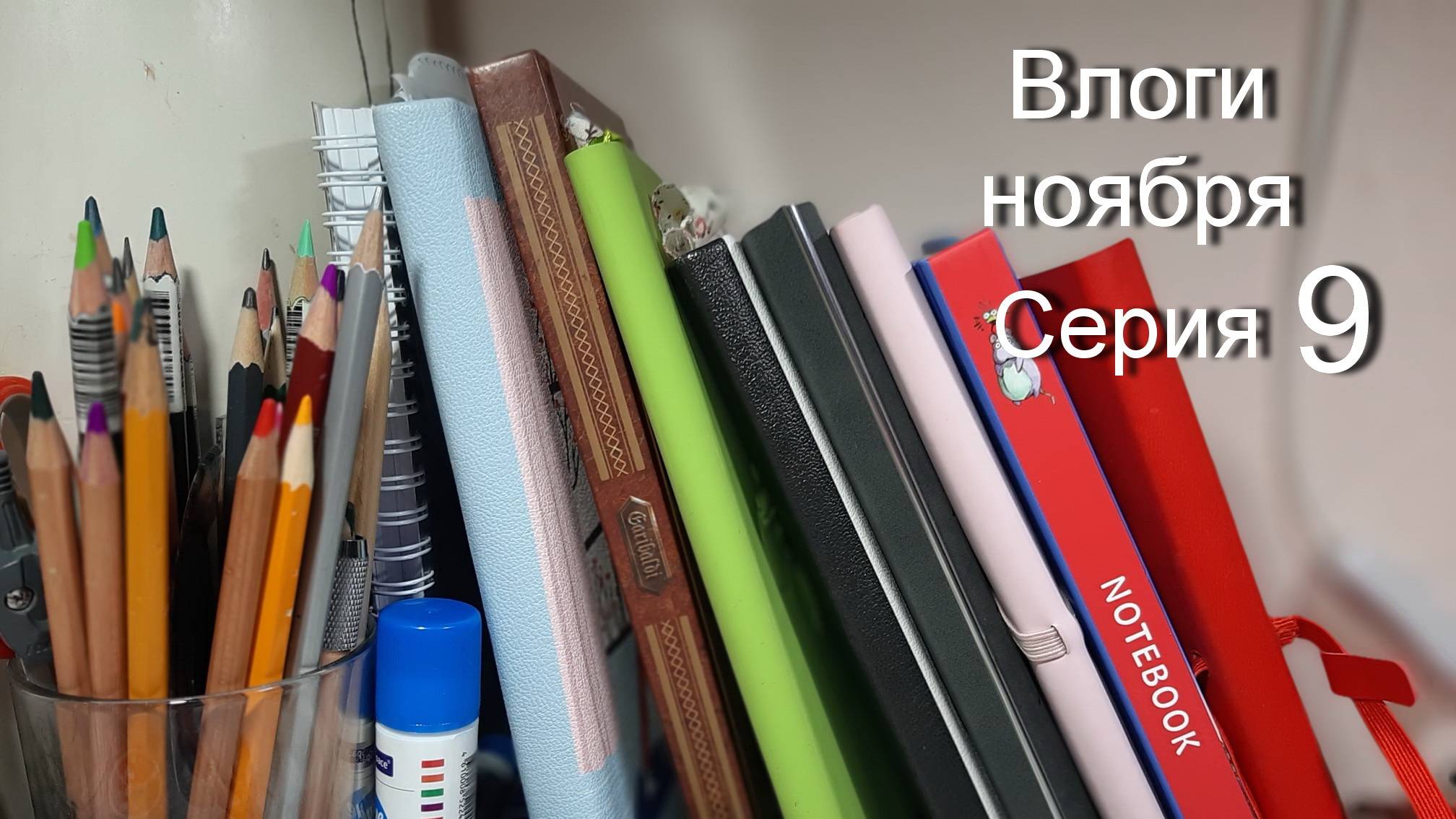 Влог ноября 9