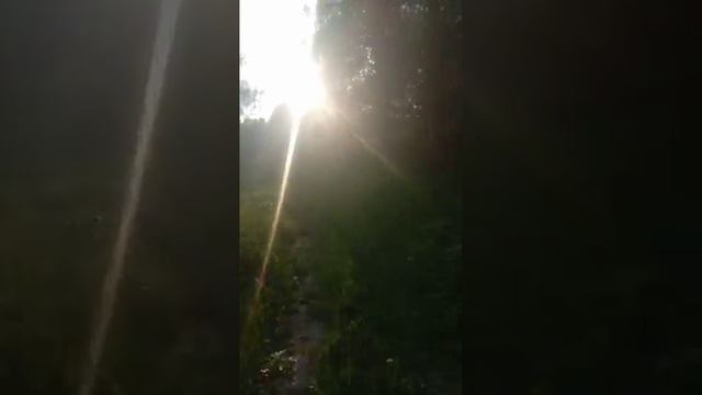 В объятия Ярила
