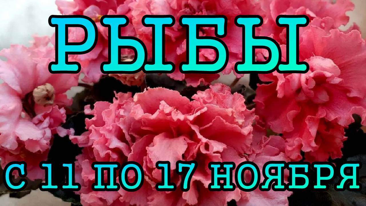 РЫБЫ таро прогноз на неделю с 11 по 17 НОЯБРЯ 2024 года.