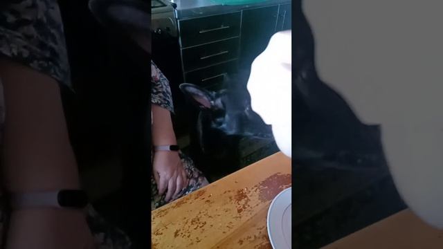 Бутерброд с масляной рыбой... Вкусненько... Хочется ещё... ;-)