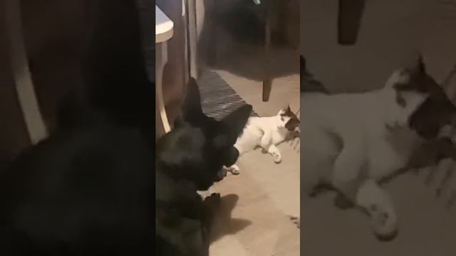 Рядышком ;-)