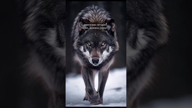 copy_E414F9DC-888B-4630-826B-7170165BC6A4