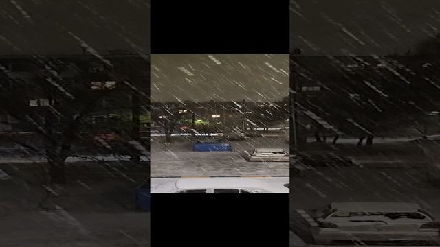 1000013427.mp4