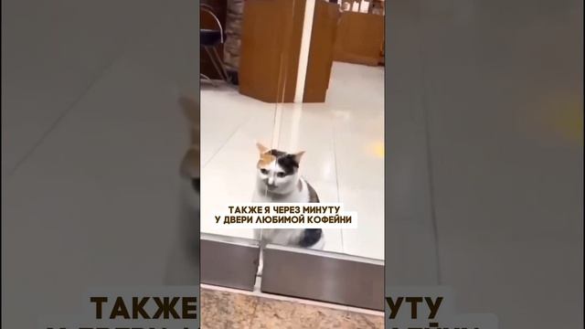 Ты-не ты, пока не выпил кофе!