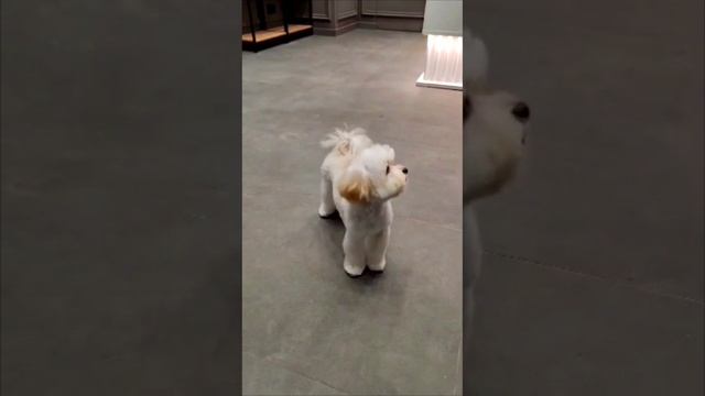 1000840963.mp4