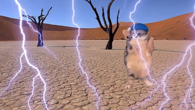 Туц тутуц