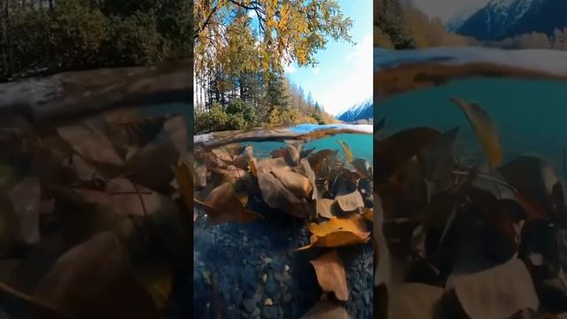 1000005327.mp4