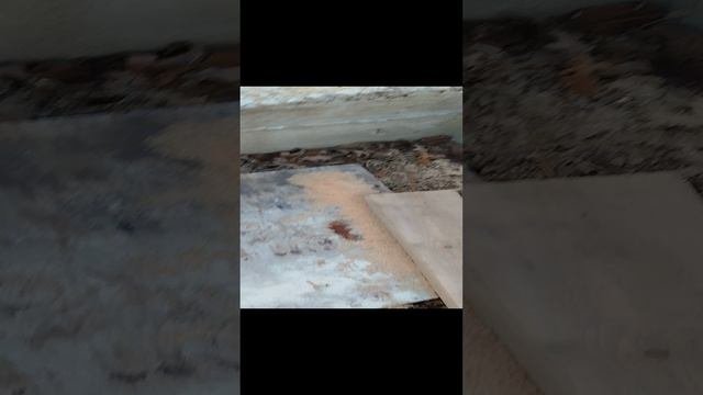1000013370.mp4