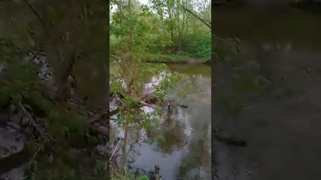 Водная гладь манит