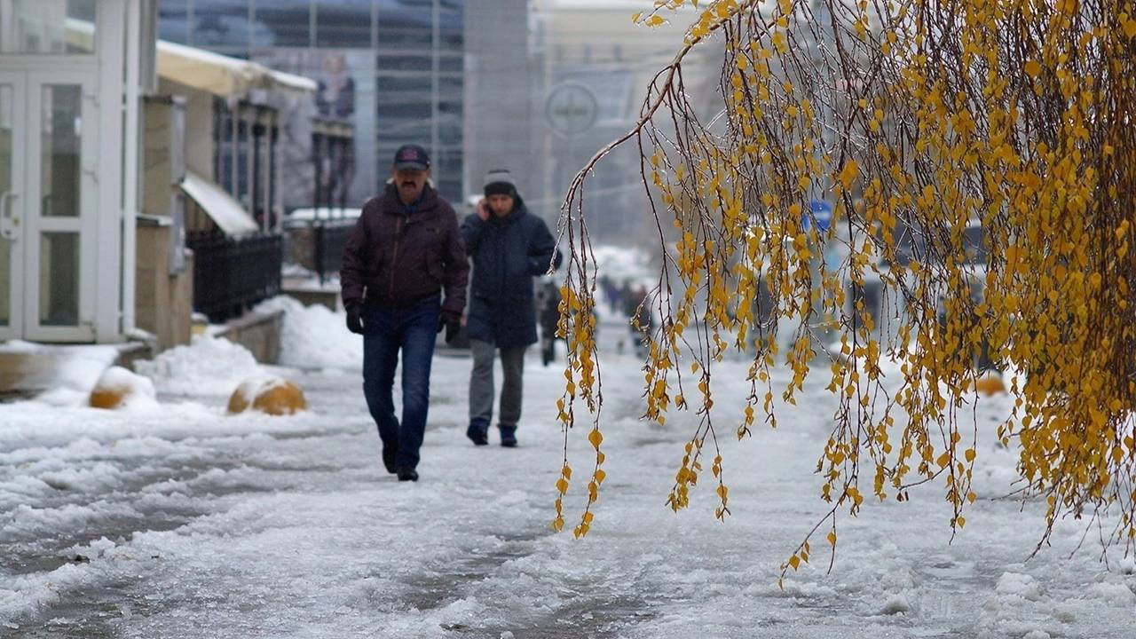 "СКРИПКА И НЕМНОЖКО НЕРВНО"... (Фото Анатолия ШУЛЕПОВА (Челябинск), музыка Франсиса ПУЛЕНКА)