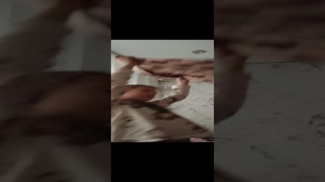 наша с милкай утро 4