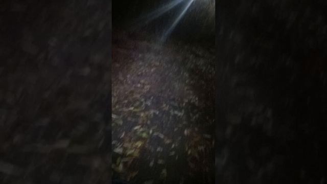 тёмно грязно путь домой