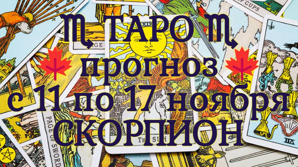 ТАРО-прогноз с 11 по 17 ноября 2024 ♏︎ СКОРПИОН