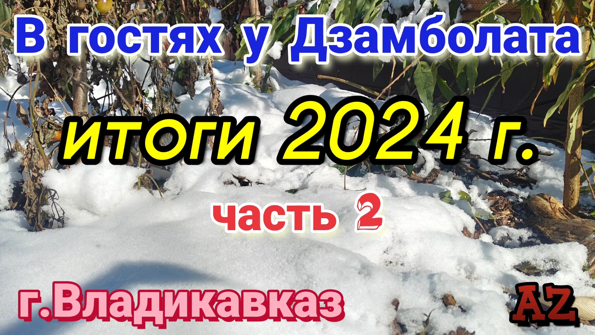 В гостях у Дзамболата. Итоги 2024 года, ч.2