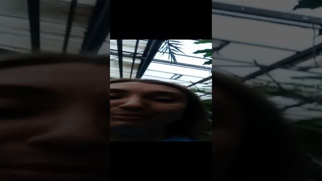 1000142641.mp4