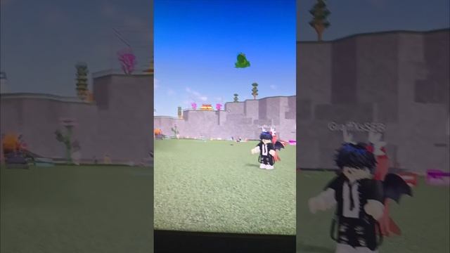 1000012059.mp4