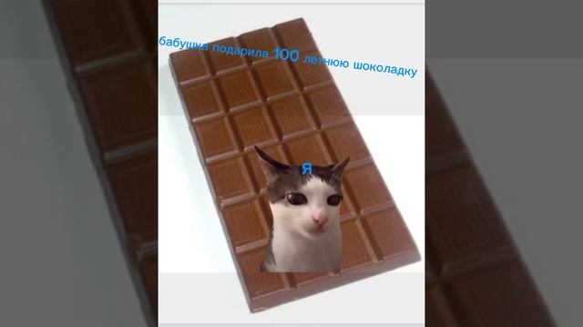 кот кушает шоколад