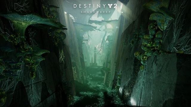 Temptation (Action - Guitar Layer Only - With Drums) - Destiny 2： Shadowkeep OST