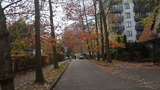 VID20241108153929.mp4