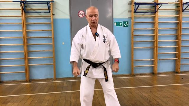 Мастерская Кумитэ Кёкусинкай (130) / Тест ударов с партнёром / Кумитэ (27.10.24)